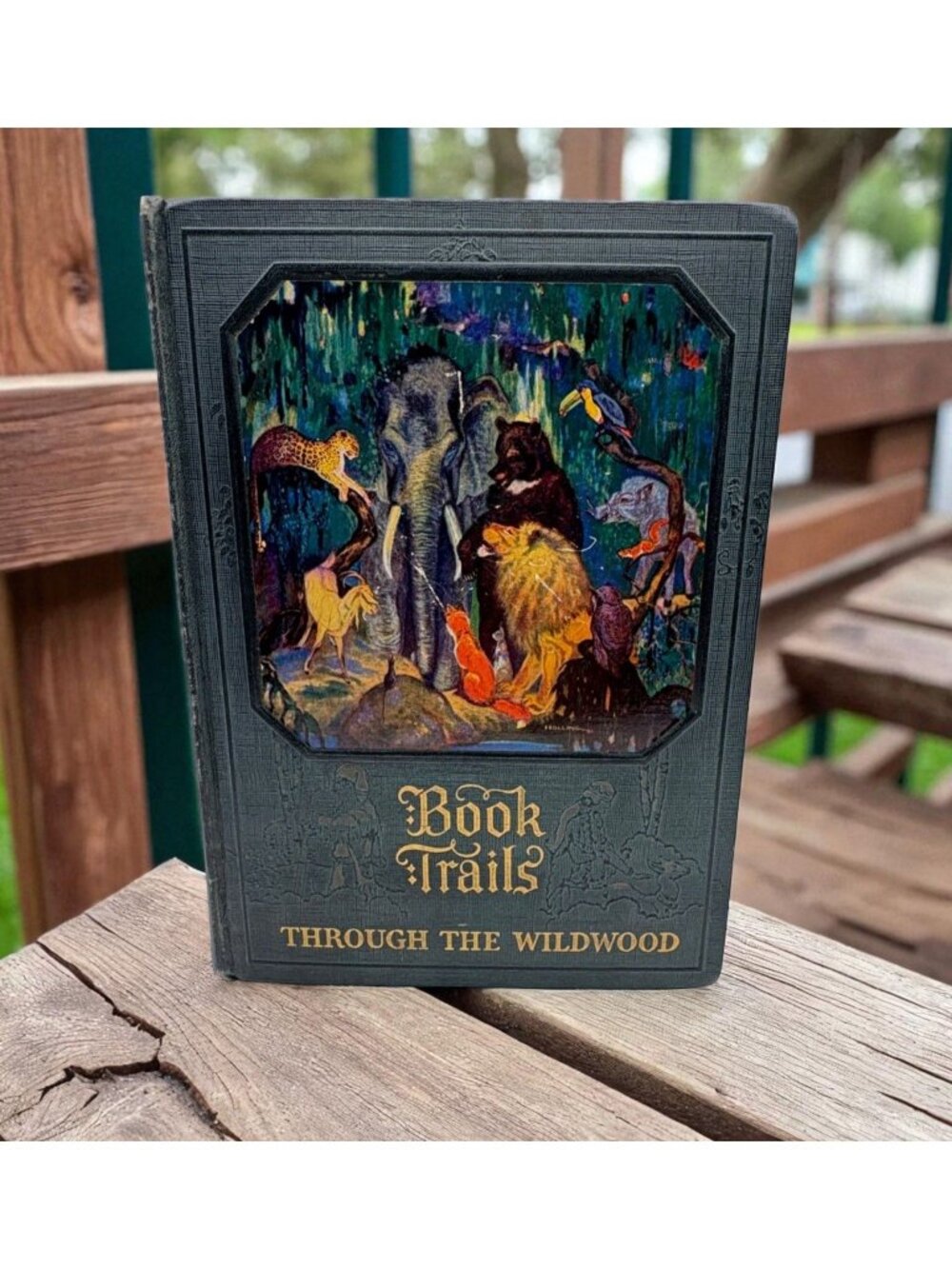 Book Trails Through The Wildwood Vol 2 Hardcover 1928 Illustrated Childrens